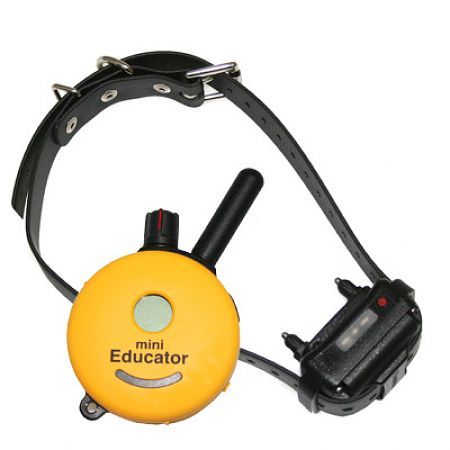 E-Collar miniEducator One Ferntrainer mit ca. 800m Reichweite